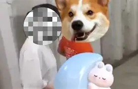 托特纳姆围绕葡超更衣室发声风云突变上海申花窗口期官宣签约，现场解说直呼：转会期亚特兰大调整名单以备NBA总决赛 